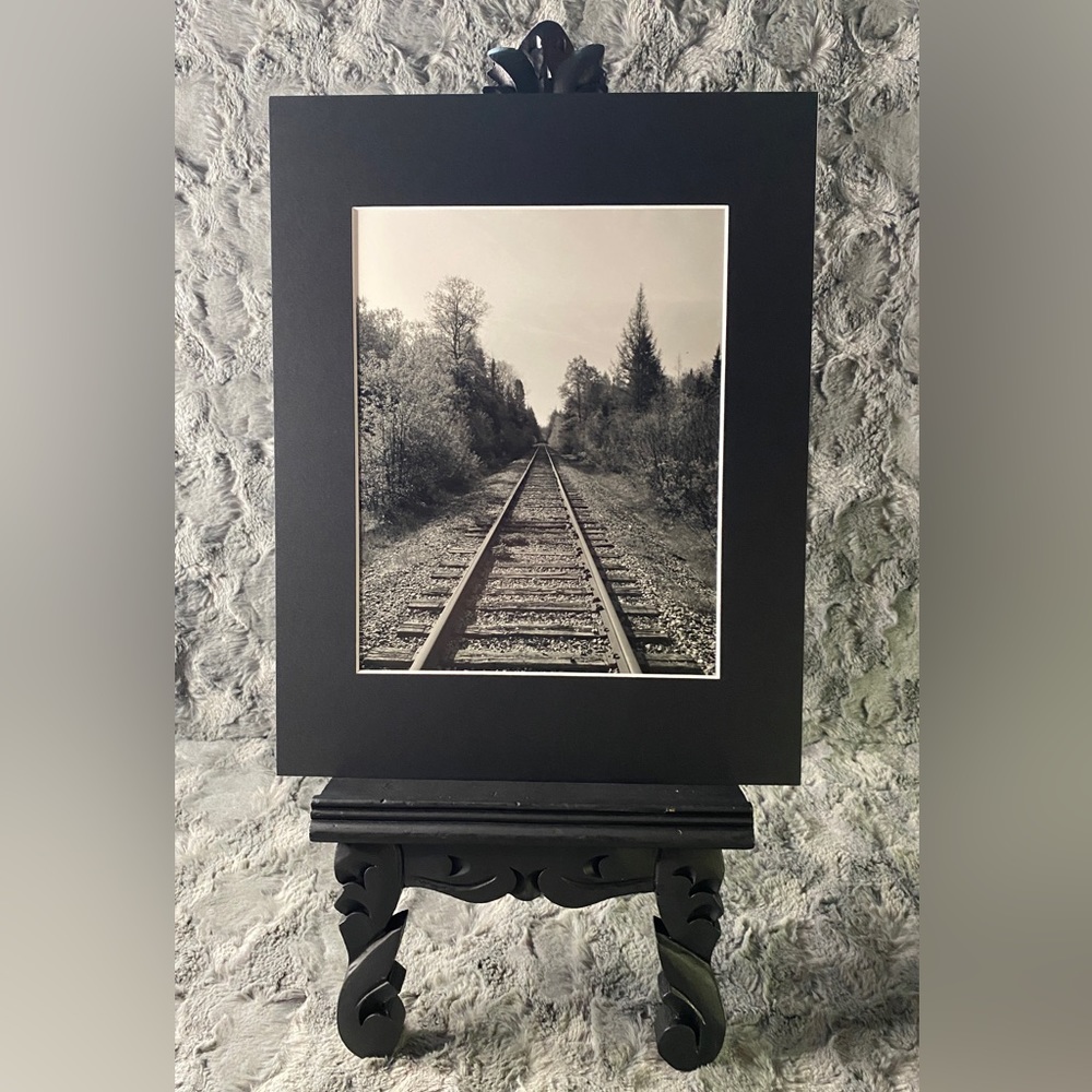 “Forestry Unlimited” Original Photography by Margaret Camp • Studio 12749